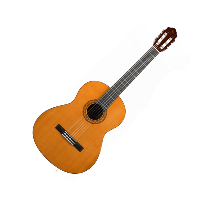 Guitars Dinapala Group of Companies Sri Lanka