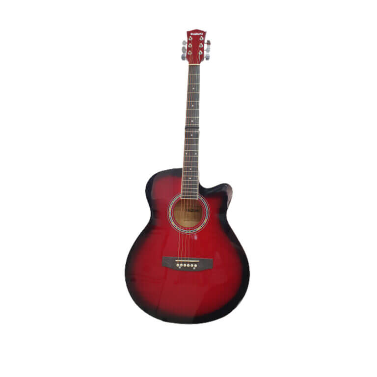 Guitars Dinapala Group of Companies Sri Lanka