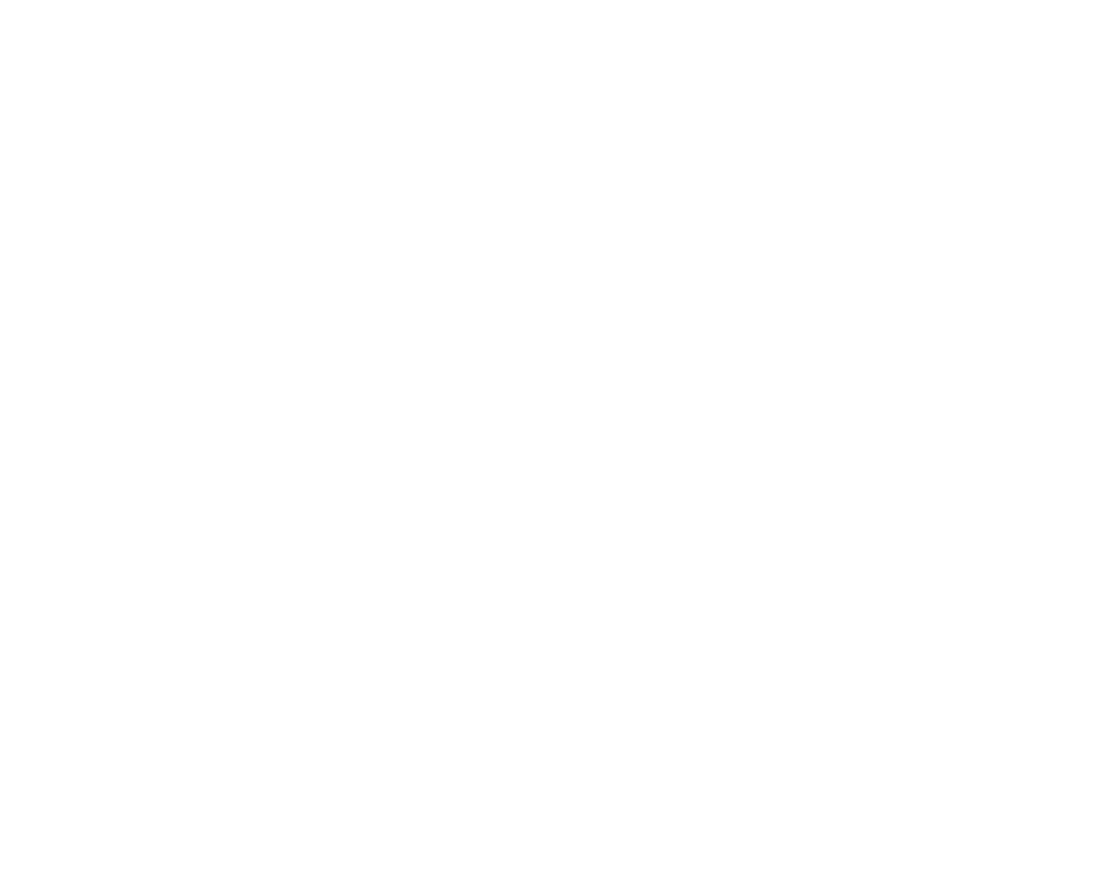 Dinapala Group of Companies Sri Lanka