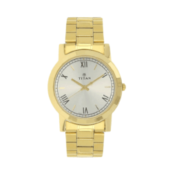 Titan Quartz Analog Silver Round Dial Golden Stainless Steel Strap Watch For Men 1644YM01