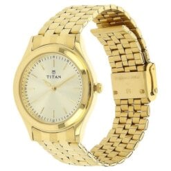 Titan Quartz Analog Champagne Dial Stainless Steel Strap Watch for Men 1648YM02